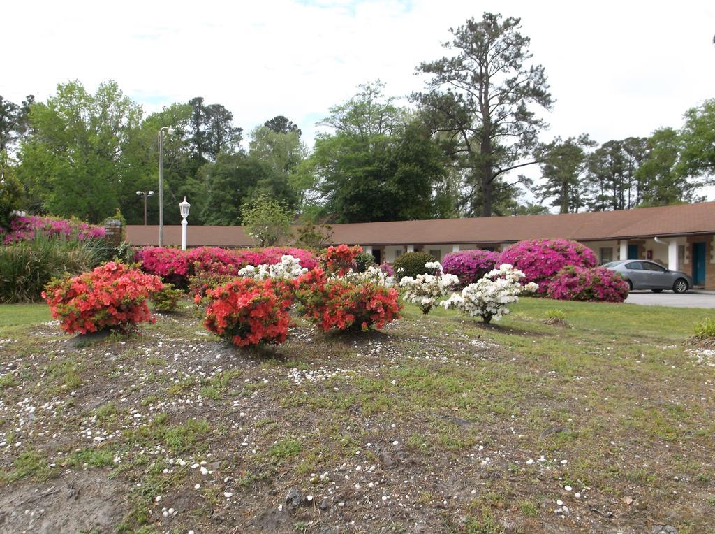 Azalea Inn & Suites Wilmington Exterior foto